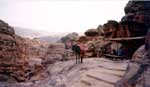climb to the temple petra